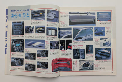 Skyline Special Feature 1989