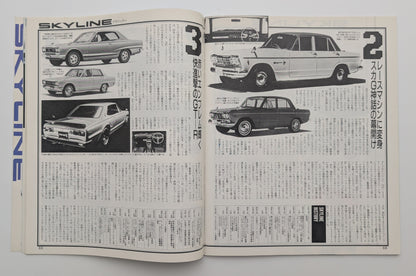 Skyline Special Feature 1989