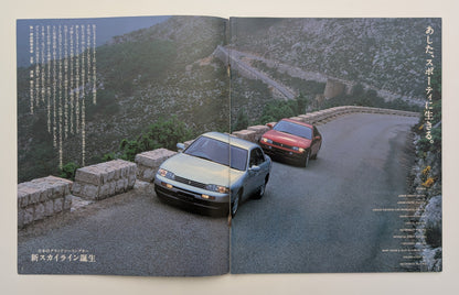 Skyline (R33) 1993