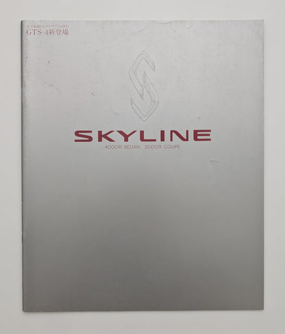 Skyline With GTS-4 (R33) 1993