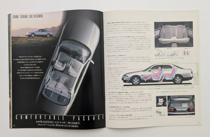 Skyline With GTS-4 (R33) 1993