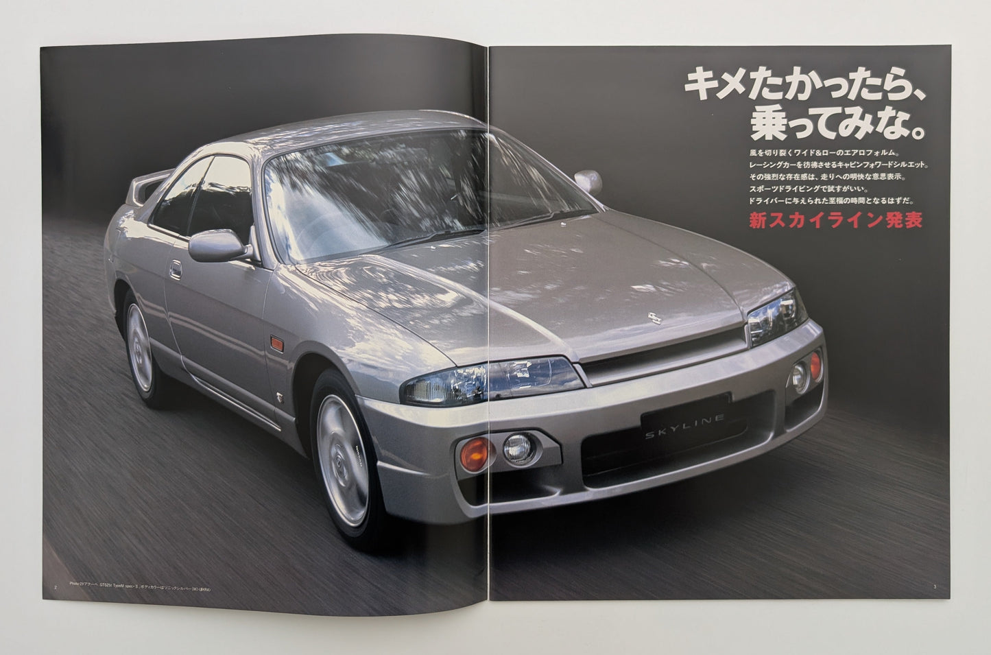 Skyline 2Door Coupe (R33) 1996