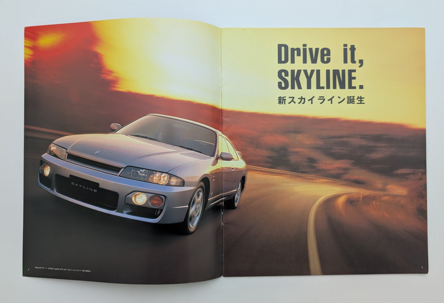 Skyline 2Door Coupe (R33) 1997