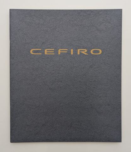 Cefiro (A32) 1994