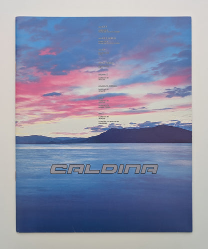 Caldina (T210) 1997